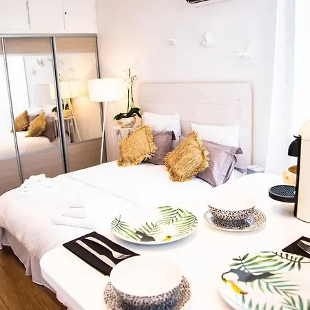 Apartment Magnifique Studio Cosy In The Heart Of Nice
